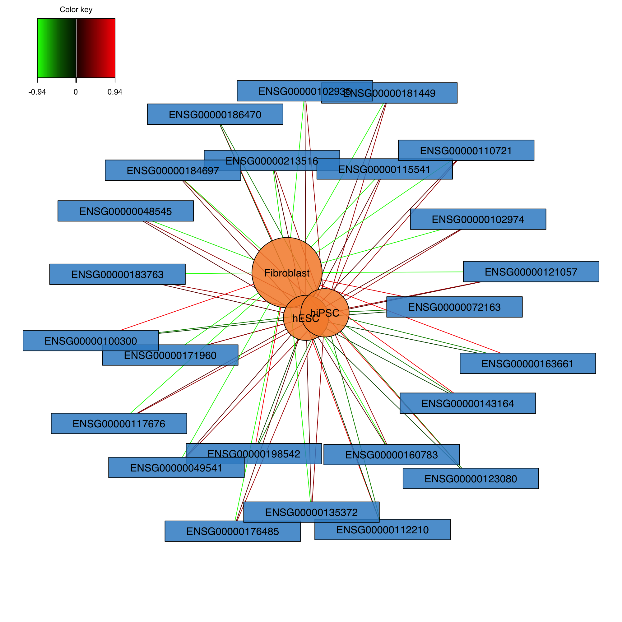 Relevance network of the genes selected by MINT sPLS-DA performed on the stemcells gene expression data for component 1 only. Associations between variables from \(\boldsymbol X\) and the dummy matrix \(\boldsymbol Y\) are calculated as detailed in Extra Reading material from Module 2. Edges indicate high or low association between the genes and the different cell types.